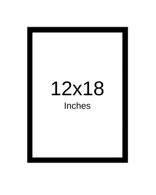 A3 SIZE PHOTO FRAME | 12X18 INCHES